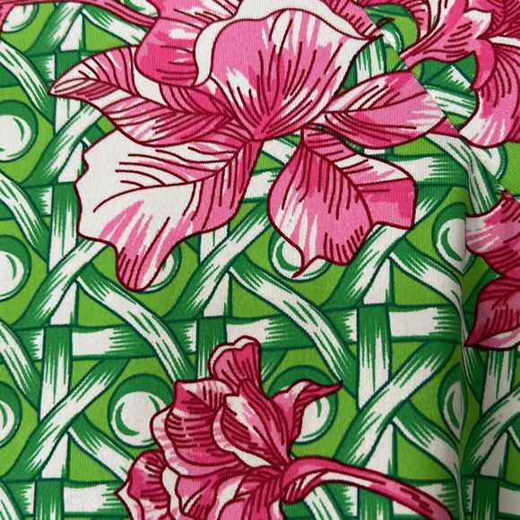 Barbara Gerwit Trellis & Lillies Print V-Neck Dress Small w MEASUREMENTS! - Picture 6 of 10